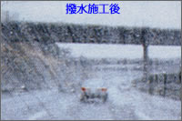 �����{�H��