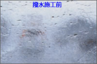 �����{�H�O